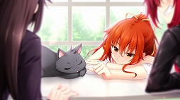 ꡼ No.010 | PS4/PS Vita/Switchǡ֥ΥȹĽǭϡȣס٥CG