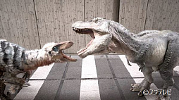 ꡼ No.010 | ĶƨĶƮ ֥ѥåס̵θǤ˥ƥɡeåפˤۿ