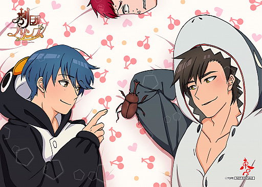 ꡼ No.010 | ַĥץ󥹡סθǤۿCDӥԤͽ