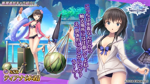 ���������꡼ No.003�Υ���ͥ������ / ��Gemini Seed�ס�����ѤΥ�������åȤȥ����ƥ������о졣����ǥ�����40Ϣʬ����館�륭���ڡ���Ⳬ��