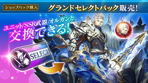 ���������꡼ No.005�Υ���ͥ������ / ��BLADE XLORD�ס�1000��DL���˵�ǰ�����ڡ����������곫��