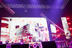 ꡼ No.006 | ֥ҥץޥסǥӥ̥饤8th饤齩 ֥䡦ǥӥDAY2ݡȤ