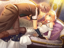 ꡼ No.027 | ֲå4Gamer209󡧥饤ϵեդǤ벵ԽûȤȲ Flower  Snow for Nintendo Switch