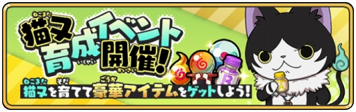 ꡼ No.005 | Ųå 륦ס꡼˥󤷤ƳƼ٥ŵŲȹڥƥ