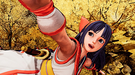 ꡼ No.002 | SAMURAI SPIRITSסθǤۿȡƲݡʥ롤ư뺵ݤȤäץ쥤ǽ