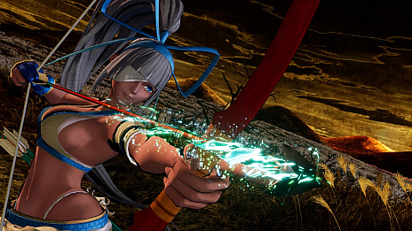 ꡼ No.008Υͥ / SAMURAI SPIRITSסɲDLC饯ֿ̾ߥʡפ2020ǯ227ۿϡٵ˰ޤ줿ϲǻ