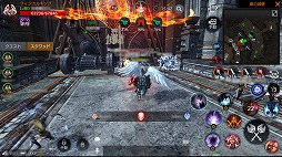 ꡼ No.008Υͥ / FAITHס4ĤΥɤǶƥġֹפ