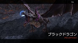 ꡼ No.004 | FAITH - եסƮοƥġ֥եɥܥפо