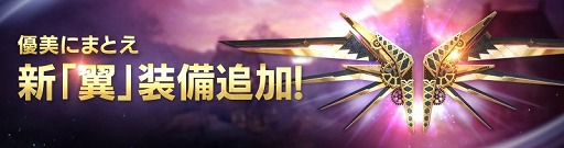 ꡼ No.013 | FAITH - եסƮοƥġ֥եɥܥפо