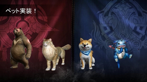 ꡼ No.008 | FAITH׽Υե饤󥤥٥ȡFANFESTפݡȡڥåȤ俷쥤ɥܥʤɤΥåץǡȾ