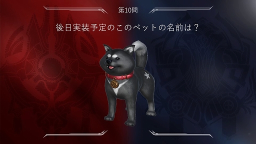 ꡼ No.010 | FAITH׽Υե饤󥤥٥ȡFANFESTפݡȡڥåȤ俷쥤ɥܥʤɤΥåץǡȾ