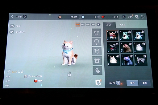 ꡼ No.026Υͥ / FAITH׽Υե饤󥤥٥ȡFANFESTפݡȡڥåȤ俷쥤ɥܥʤɤΥåץǡȾ