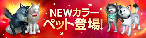 ꡼ No.002 | FAITHסڥåȤΥ̤ȥͥ2ο顼о