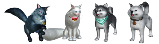 ꡼ No.003 | FAITHסڥåȤΥ̤ȥͥ2ο顼о