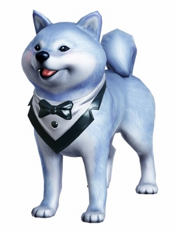 ꡼ No.006 | FAITHפΥӥȾǯǰ٥ȡ֥ϡեСǡպספ