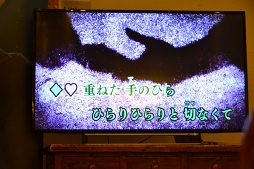 ꡼ No.025 | ȯؤ֥ܥ˥ʥꥪ餱ƤפȸäּΥѥ Refrainץڥ̲ in ǥʡ硼ץݡȡͤ󤬥դ줿ܤˤϤʤաɤȤϡ