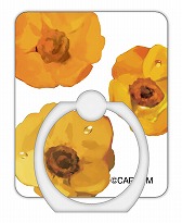 ꡼ No.012 | ּΥѥޡץ꡼ΥޥåȤ䥨Хåʤɡեå󻨲ߤ1028ͽդ