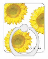 ꡼ No.013 | ּΥѥޡץ꡼ΥޥåȤ䥨Хåʤɡեå󻨲ߤ1028ͽդ