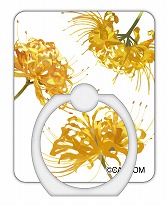 ꡼ No.014 | ּΥѥޡץ꡼ΥޥåȤ䥨Хåʤɡեå󻨲ߤ1028ͽդ