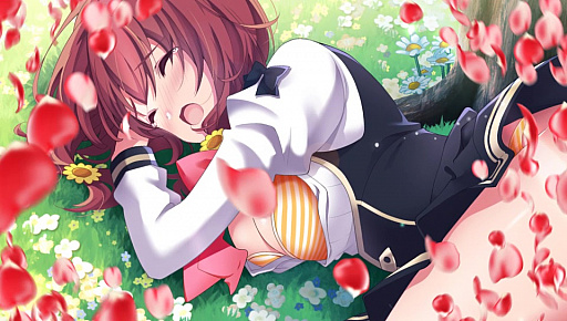 ꡼ No.002 | ֥ᥬӥ 饤աפΥץ˥󥰥ࡼӡΤϽܡ˥åȡDelightStyleפô