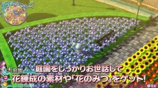 ꡼ No.013 | ֥ᥬӥ 饤աס֥ӥ 饤աפPV2Ƥˡ֥ϥѡLפ֥󥸥󥸥פץ쥹ȯɽ˾Ҳ