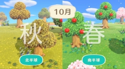 ꡼ No.004 | ֤Ĥޤ ɤ֤Ĥο Direct 2020.2.20׾ޤȤᡣͤȤθή꼫ͳˤʤꡤγȯȤꥨǤڤʤ