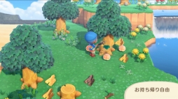 ꡼ No.021 | ֤Ĥޤ ɤ֤Ĥο Direct 2020.2.20׾ޤȤᡣͤȤθή꼫ͳˤʤꡤγȯȤꥨǤڤʤ