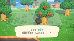 ꡼ No.030 | ֤Ĥޤ ɤ֤Ĥο Direct 2020.2.20׾ޤȤᡣͤȤθή꼫ͳˤʤꡤγȯȤꥨǤڤʤ