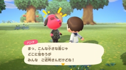 ꡼ No.008 | 褤ȯ֤Ĥޤ ɤ֤Ĥοפԥץ쥤ͳ٤ι⤤1֤θƤߤ