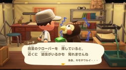 ꡼ No.035 | 褤ȯ֤Ĥޤ ɤ֤Ĥοפԥץ쥤ͳ٤ι⤤1֤θƤߤ