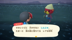 ꡼ No.016Υͥ / ֤Ĥޤ ɤ֤ĤοפǳμϤγˤ뿷Сǳڤ