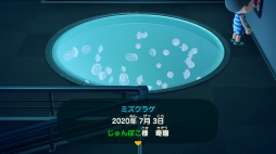 ꡼ No.023Υͥ / ֤Ĥޤ ɤ֤ĤοפǳμϤγˤ뿷Сǳڤ