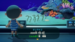 ꡼ No.024Υͥ / ֤Ĥޤ ɤ֤ĤοפǳμϤγˤ뿷Сǳڤ