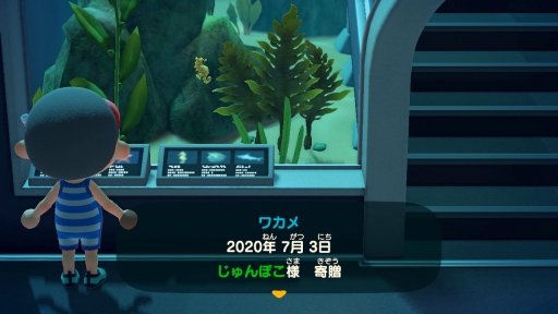 ꡼ No.025Υͥ / ֤Ĥޤ ɤ֤ĤοפǳμϤγˤ뿷Сǳڤ