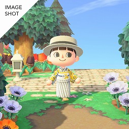 ���������꡼ No.009�Υ���ͥ������ / �֤��Ĥޤ� �ɤ��֤Ĥο��פΥޥ��ǥ�����ˤդ�դΥ��ꥸ�ʥ뿷����᤬�о졣8��1�����̵������