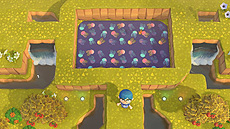 ���������꡼ No.013�Υ���ͥ������ / ���ߤ���²�ۤ��֤��Ĥޤ� �ɤ��֤Ĥο��פǡȤ��ߤ�����ɤ���������󥢥ʥ�������11��11���ˤˤϥե���ߡ��ƥ��󥰤򳫺�ͽ��