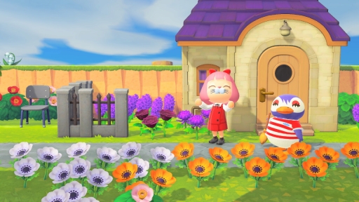 ꡼ No.035 | ֤Ĥޤ ɤ֤Ĥο1ǯ衣2ϡ¿줿ޥǥ̴ϤʤɤγǤ夬ɤ򿶤֤