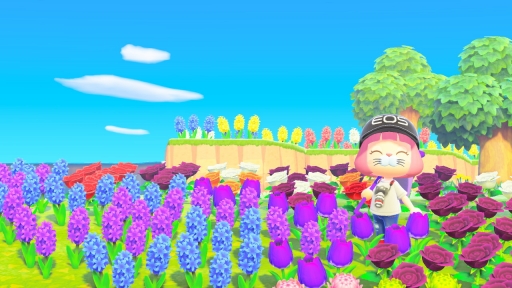 ꡼ No.103 | ֤Ĥޤ ɤ֤Ĥο1ǯ衣2ϡ¿줿ޥǥ̴ϤʤɤγǤ夬ɤ򿶤֤