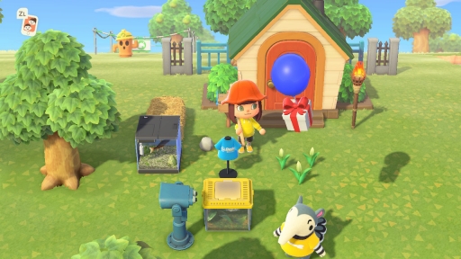 ꡼ No.043 | ֤Ĥޤ ɤ֤Ĥοפ1ǯ ˤ3ܤϡȰᡦɤǥ򤵤Ǥγڤ򷡤겼