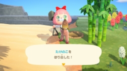 ꡼ No.054 | ֤Ĥޤ ɤ֤Ĥοפ1ǯ ˤ3ܤϡȰᡦɤǥ򤵤Ǥγڤ򷡤겼