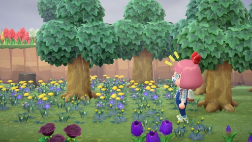 ꡼ No.055 | ֤Ĥޤ ɤ֤Ĥοפ1ǯ ˤ3ܤϡȰᡦɤǥ򤵤Ǥγڤ򷡤겼