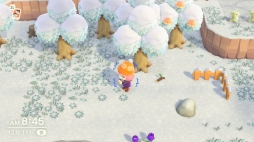 ꡼ No.057 | ֤Ĥޤ ɤ֤Ĥοפ1ǯ ˤ3ܤϡȰᡦɤǥ򤵤Ǥγڤ򷡤겼