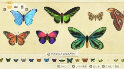 ꡼ No.065 | ֤Ĥޤ ɤ֤Ĥοפ1ǯ ˤ3ܤϡȰᡦɤǥ򤵤Ǥγڤ򷡤겼