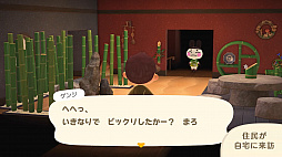 ꡼ No.048 | ֤Ĥޤ ɤ֤Ĥο ˤƵϥȤ㤬ȳŹɡ 褬¤̵åץǡȤͭDLCΥϥåԡۡѥ115ۿ