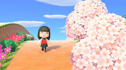 ꡼ No.006Υͥ / ֤Ĥޤ ɤ֤ĤοסAI餵餹Ȥɤ1ǯ緿åץǡȤ»