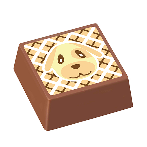 ꡼ No.020 | ǥ ѥ֤Ĥޤ ɤ֤ĤοפȥܤХ󥿥󥳥쥯2024ǯ15ȯ䡣ꥸʥǥΥݡդξʤ