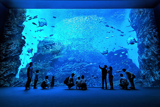 ꡼ No.002 | ֤Ĥޤ ɤ֤Ĥοץܥ٥ȡ椦ߤο²ۤ713鳫š˽ФƤȳιɤμ¿θʤɤ»