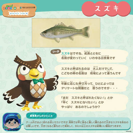 ꡼ No.003 | ֤Ĥޤ ɤ֤Ĥοץܥ٥ȡ椦ߤο²ۤ713鳫š˽ФƤȳιɤμ¿θʤɤ»