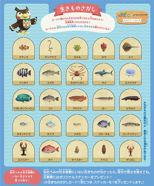 ꡼ No.004 | ֤Ĥޤ ɤ֤Ĥοץܥ٥ȡ椦ߤο²ۤ713鳫š˽ФƤȳιɤμ¿θʤɤ»