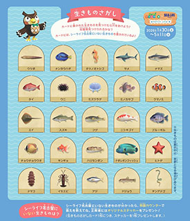 ���������꡼ No.004�Υ���ͥ������ / �֤��Ŀ��פ�̾�Ų������饤�տ�²�ۤ�����ܤ����ֳ���������� �դ줢��Ÿ�ס�1��30����곫�ŷ���